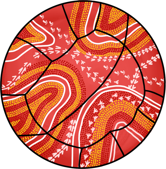 Netball with Aboriginal Artwork